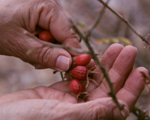 A still from Cecilia Vicuña's "Semiya (Seed Song)"