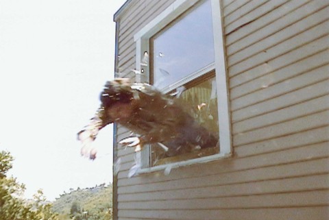 A man jumping out of a window.