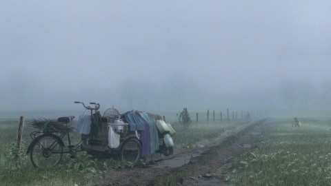 bicycle with cart in a landscape