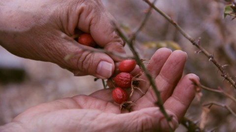 A still from Cecilia Vicuña's "Semiya (Seed Song)"